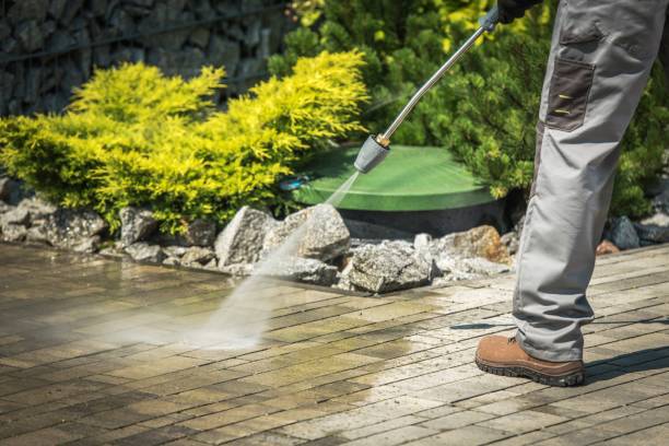 Best Animal Enclosure Cleaning  in White Horse, NJ