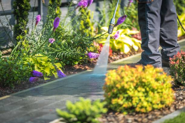 Best Animal Enclosure Cleaning  in White Horse, NJ