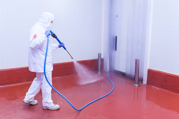 Best Heavy Equipment Washing  in White Horse, NJ